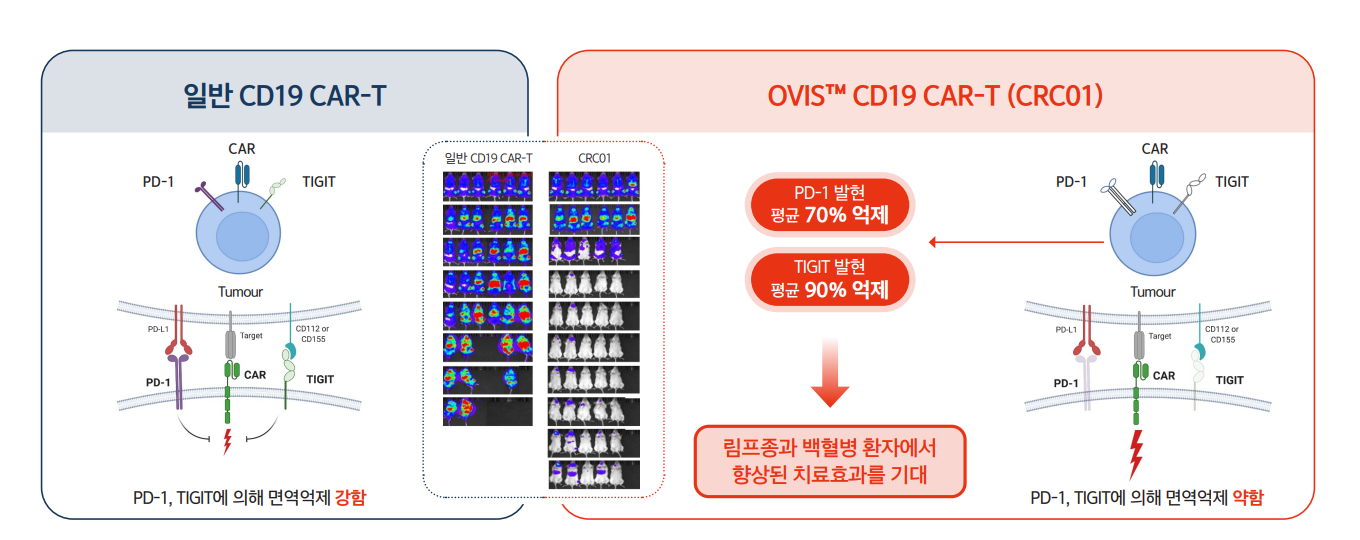 큐로셀, CAR-T 신약 개발 매진...올해 430억 조달