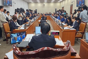 국감, 밀어넣기 영업·창고형약국·장기처방 정조준